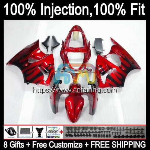 Injection mold Bodys For KAWASAKI NINJA ZZR-600 ZX600CC 2005 2006 2007 2008 ZX600 Red Flames ZZR600 600CC ZZR 600 05 06 07 08 OEM Fairings 25HM.95