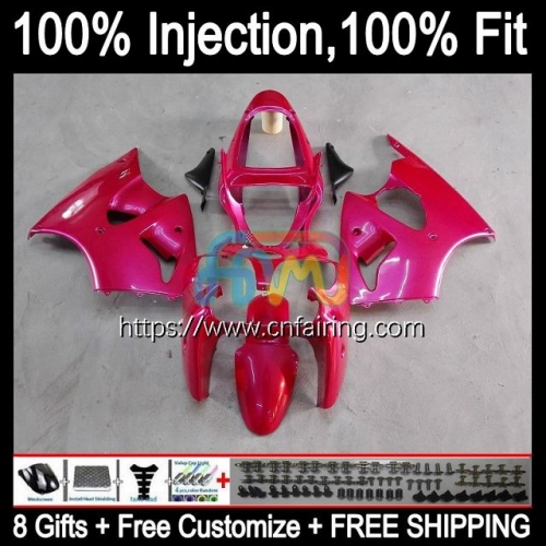 Injection mold Body For KAWASAKI NINJA ZX 6R ZX-636 ZX 600 CC 6 R ZX636 ZX 636 ZX-6R ZX6R Metal Pink 00 01 02 ZX600 2000 2001 2002 Fairings 24HM.102