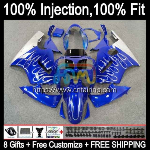 Injection mold Body For KAWASAKI NINJA Silver Flames ZX1200 C ZX 1200 12R 1200CC ZX 12 R 1200 CC ZX12R 00 01 ZX-12R 2000 2001 OEM Fairings Kit 20HM.5