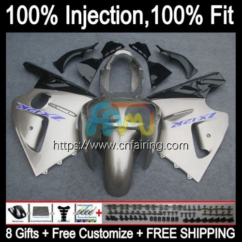 Injection mold Body For KAWASAKI Gloss Silvery NINJA ZX1200 C ZX 1200 12R 1200CC ZX 12 R 1200 CC ZX12R 00 01 ZX-12R 2000 2001 OEM Fairings Kit 20HM.24