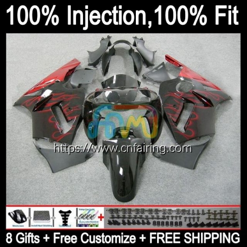 Injection mold Body For KAWASAKI Red Flames NINJA ZX 1200CC CC 1200 12R 2002 2003 2004 2005 2006 ZX-12R ZX12R ZX1200 02 03 04 05 06 Fairing 21HM.59