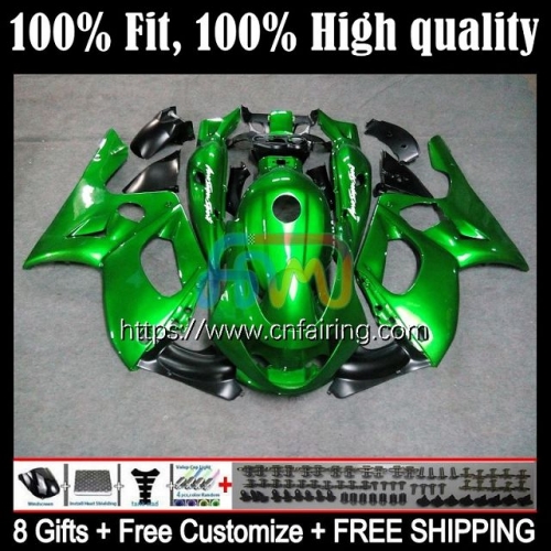 Body+Tank For YAMAHA YZF600R Metal Green Thundercat YZF 600R 600 R YZF600 R 02 03 04 05 06 07 YZF-600R 1996 1997 1998 1999 2000 2001 Fairing 19HM.68