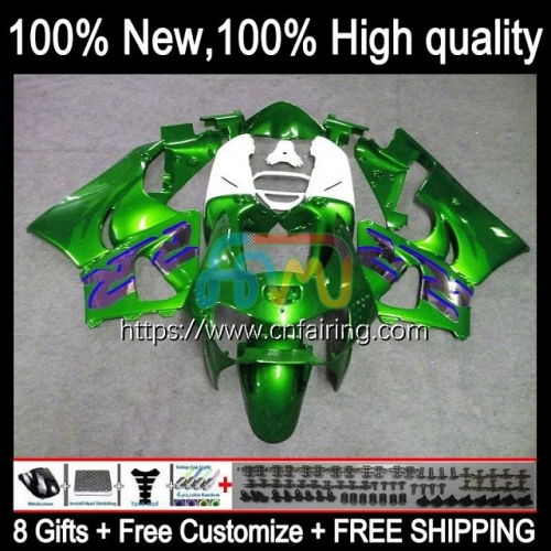 Body For HONDA CBR900 CBR893 RR CBR900RR CBR893RR 1989 1990 1991 1992 1993 CBR 893RR 900RR 893 900 CC White green 89 90 91 92 93 Fairing Kit 43HM.64