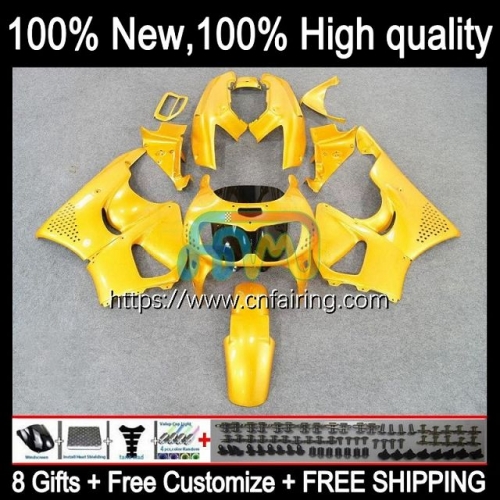 Body Kit For HONDA CBR Gloss Yellow 893RR 900RR 893 900 CC RR CBR900 CBR893 RR 94 95 96 97 CBR900RR CBR893RR 1994 1995 1996 1997 OEM Fairings 44HM.1