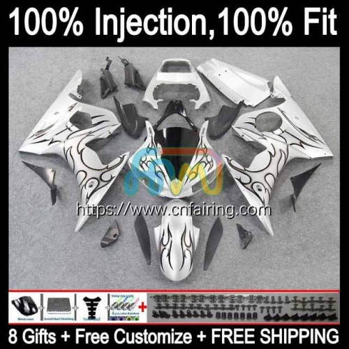 Injection Mold Body For YAMAHA YZF Silver&Flames R6S 600CC YZF 600 CC Bodywork YZFR6S 06 07 08 09 YZF-R6S 2006 2007 2008 2009 OEM Fairings Kit 69HM.3