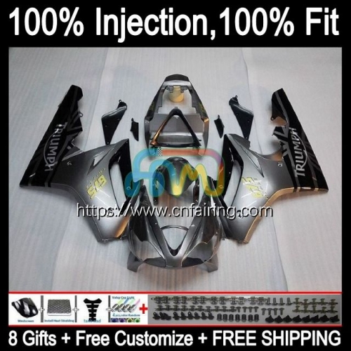 Injection mold Body For Triumph Daytona 675 675R 02 03 04 05 06 07 08 Stock Silvery Daytona675 2002 2003 2004 2005 2006 2007 2008 OEM Fairings 70HM.7