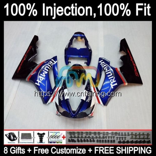 Injection mold For Triumph Blue black Daytona 675 675R 2002 2003 2004 2005 2006 2007 2008 Bodys Daytona675 02 03 04 05 06 07 08 OEM Fairing 70HM.107
