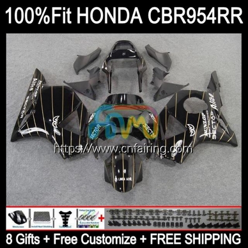 Injection Black Golden Body For HONDA CBR900RR CBR954RR CBR 900 954 RR CC CBR900 RR CBR954 RR CBR 900RR 02 03 CBR 954RR 2002 2003 OEM Fairing 77HM.1