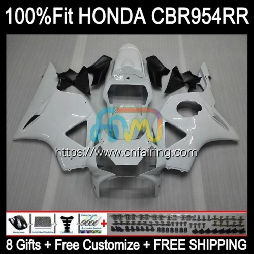 OEM Injection For HONDA CBR 900 954 RR CC CBR900RR CBR954RR 2002 2003 Body CBR900 RR CBR954 RR CBR 900RR CBR 954RR White black 02 03 Fairing 77HM.69