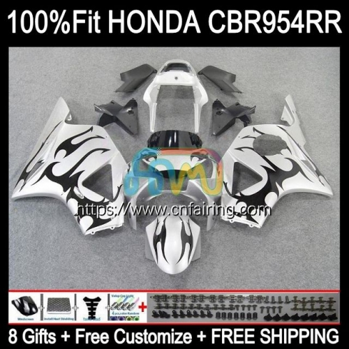 Injection Body For HONDA CBR900RR CBR954RR CBR 900 954 RR CC CBR900 Black flames RR CBR954 RR CBR 900RR 02 03 CBR 954RR 2002 2003 OEM Fairing 77HM.36