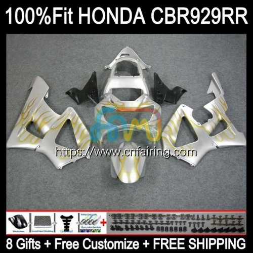 Body Injection For HONDA CBR 900 929 RR CC CBR929RR CBR900 RR 2000 2001 CBR 900RR CBR929 RR CBR900RR CBR 929RR Silver Yellow 00 01 OEM Fairing 78HM.46