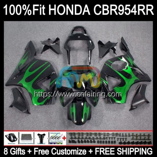 Injection Body For HONDA CBR900RR CBR954RR CBR 900 954 RR CC CBR900 RR CBR954 RR CBR 900RR 02 03 CBR 954RR Green Flames 2002 2003 OEM Fairing 77HM.13