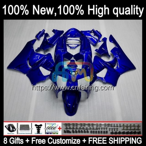 Bodywork OEM For HONDA CBR900RR CBR919RR CBR 919RR CBR900 RR 1998 1999 Bodys Blue&flames CBR 900 919 RR CC CBR 900RR CBR919 RR 98 99 Fairing 79HM.38