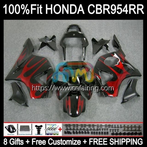 Injection Body For HONDA CBR900RR CBR954RR CBR 900 954 RR CC CBR900 RR CBR954 RR CBR 900RR Red Flames 02 03 CBR 954RR 2002 2003 OEM Fairing 77HM.20