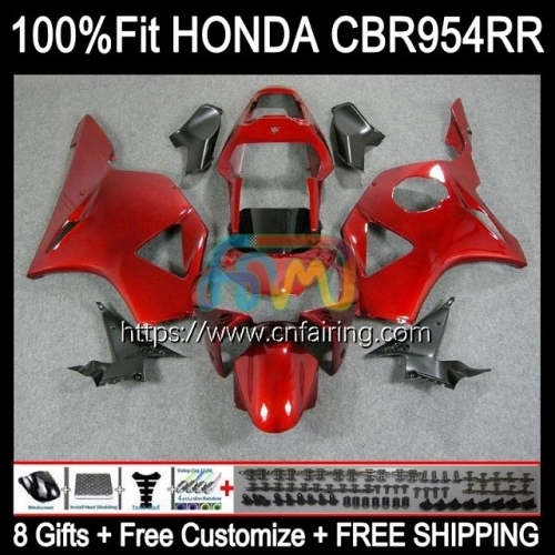 Injection Body For HONDA CBR900RR CBR954RR CBR 900 954 RR CC CBR900 RR CBR954 RR CBR 900RR 02 03 CBR 954RR Metallic Red 2002 2003 OEM Fairing 77HM.39