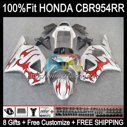 Injection Body For HONDA CBR900RR CBR954RR CBR 900 954 RR CC CBR900 RED FLAMES RR CBR954 RR CBR 900RR 02 03 CBR 954RR 2002 2003 OEM Fairing 77HM.18