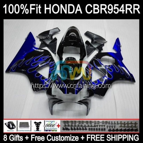 OEM Injection For HONDA CBR 900 954 RR CC CBR900RR CBR954RR 2002 2003 Body CBR900 RR CBR954 RR CBR 900RR CBR 954RR Blue Flames 02 03 Fairing 77HM.78