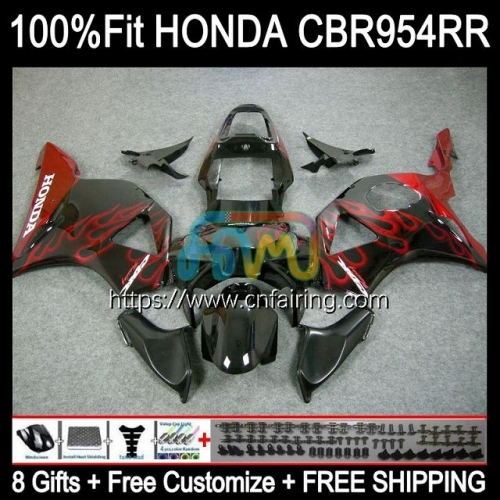 Injection Body For HONDA CBR900RR CBR954RR CBR 900 954 RR CC CBR900 RR CBR954 RR CBR 900RR 02 03 CBR 954RR 2002 2003 Red Flames OEM Fairing 77HM.37