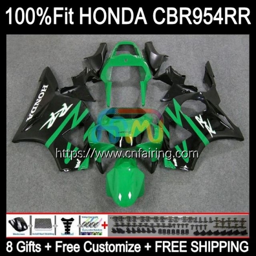 Injection Body For HONDA CBR900RR CBR954RR CBR 900 954 RR CC CBR900 RR CBR954 RR CBR 900RR 02 03 CBR 954RR Green black 2002 2003 OEM Fairing 77HM.43