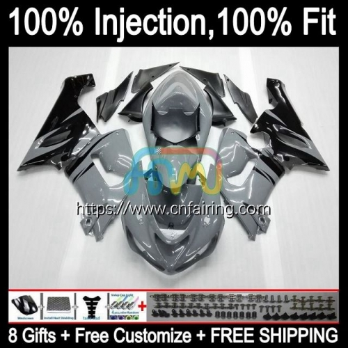 Injection mold OEM For KAWASAKI NINJA Grey&Flames ZX 6R 600 CC 6 R ZX600 ZX-636 2005 2006 Bodys ZX 636 600CC ZX-6R ZX636 ZX6R 05 06 Fairings 87HM.49