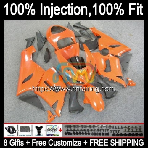 Injection mold OEM For KAWASAKI ALL Orange NINJA ZX-6R ZX636 ZX 6R 600 CC 6 R 05 Body ZX 636 600CC ZX6R 05 06 ZX600 ZX-636 2005 2006 Fairing 87HM.22