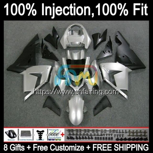 OEM Injection Mold For KAWASAKI NINJA ZX1000 C ZX 10R 10 R 1000CC 1000 CC Body ZX-10R ZX10R 04 05 ZX1000C 2004 2005 Gloss Silvery Fairings Kit 89HM.11