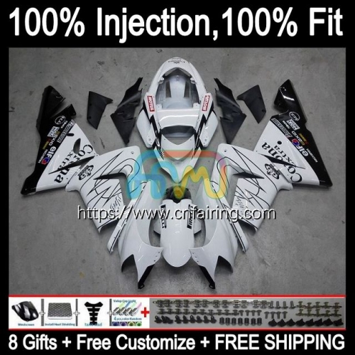 Injection Mold OEM For KAWASAKI NINJA ZX1000C ZX1000 C ZX-10R 2004 2005 Bodys ZX 10R 10 R 1000CC 1000 CC ZX10R 04 05 ABS White black Fairing 89HM.67