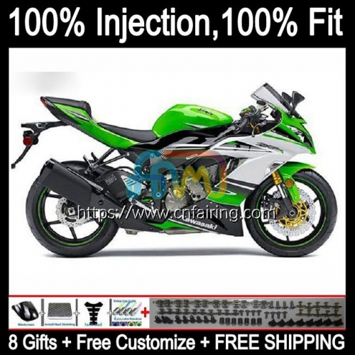 OEM Injection For KAWASAKI NINJA ZX-6R ZX 636 600CC White green 6R 600 CC 6 R ZX-636 ZX6R 09 10 11 12 ZX600 ZX636 2009 2010 2011 2012 Fairing 91HM.28