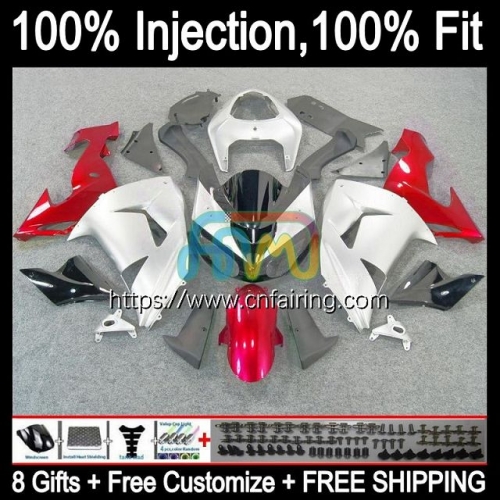 Injection Red Silver Mold Kit For KAWASAKI NINJA ZX1000 C ZX 10R 10 R 1000CC 1000 CC Bodys ZX1000C ZX10R 06 07 ZX-10R 2006 2007 OEM Fairing 90HM.20