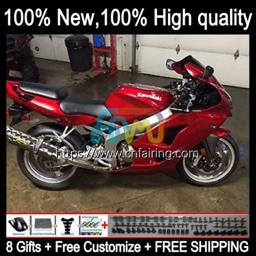 Bodys Metallic red Kit For KAWASAKI NINJA ZX 636 600CC 600 CC ZX 6R 6 R 1998 1999 Bodywork ZX-6R ZX-636 ZX600C ZX636 ZX600 ZX6R 98 99 Fairing 97HM.59