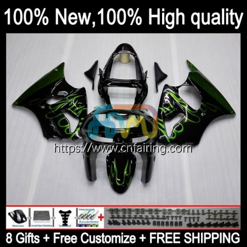 Bodys Kit For KAWASAKI NINJA Green Flames ZX 636 600CC 600 CC ZX 6R 6 R 1998 1999 Bodywork ZX-6R ZX-636 ZX600C ZX636 ZX600 ZX6R 98 99 Fairing 97HM.49