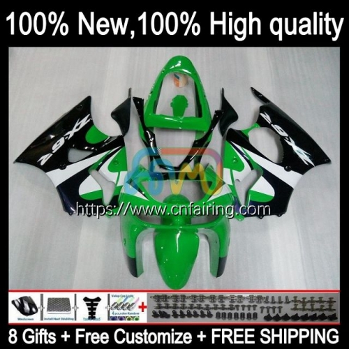 Body Kit For KAWASAKI NINJA ZX 6R Green black 6 R ZX-636 ZX 636 600CC 600 CC Bodywork ZX-6R ZX600 ZX6R 98 99 ZX600C ZX636 1998 1999 Fairings 97HM.43