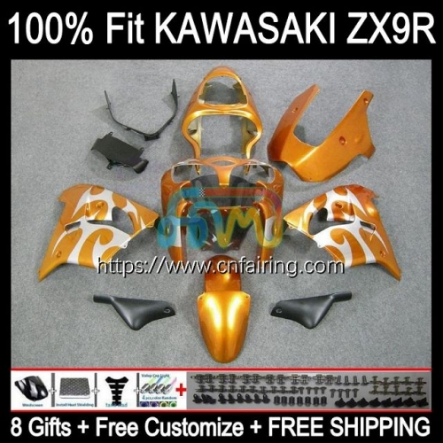 Injection Mold Bodys For KAWASAKI NINJA ZX-900 ZX 9R 900CC Bodywork ZX-9R ZX 9 R 900 CC ZX9R Gold Silvery 00 01 ZX900 2000 2001 OEM Fairings 99HM.9