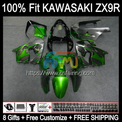 OEM Injection Mold For KAWASAKI NINJA ZX900 C ZX 9R 900CC Body ZX-9R ZX 9 R 900 CC Bodywork Grey Flames ZX9R 02 03 ZX-900 2002 2003 Fairing 100HM.28