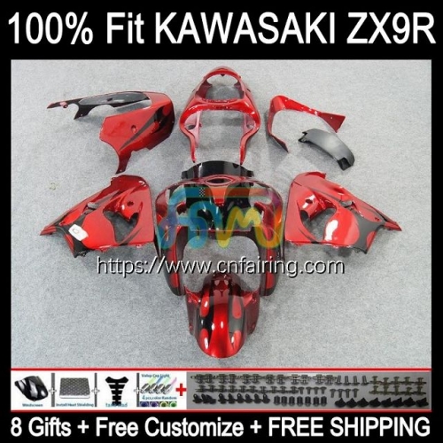 OEM Red&Flames Injection Mold For KAWASAKI NINJA ZX900 C ZX 9R 900CC Body ZX-9R ZX 9 R 900 CC Bodywork ZX9R 02 03 ZX-900 2002 2003 Fairing 100HM.2