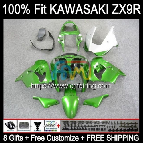 Body Injection Mold For KAWASAKI NINJA ZX-9R ZX 9 R 900 CC 2000 2001 Bodyworks ZX900 C ZX-900 ZX 9R 900CC Metallic hot ZX9R 00 01 OEM Fairing 99HM.76