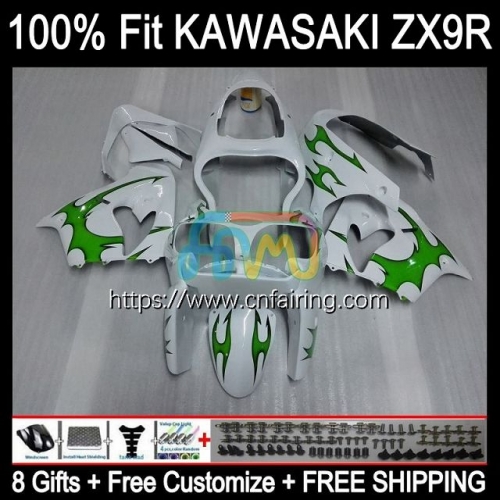 Body Injection Mold For KAWASAKI NINJA ZX-9R ZX 9 R 900 CC 2000 2001 Bodyworks ZX900 C ZX-900 ZX 9R 900CC ZX9R 00 01 Green Flames OEM Fairing 99HM.50