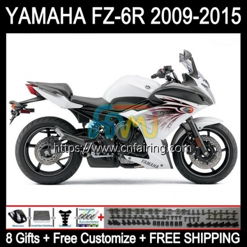 Body Kit For YAMAHA FZ6N FZ6 R FZ 6R 6 R 6N Bodywork FZ6R White black 09 10 11 12 13 14 15 FZ-6R 2009 2010 2011 2012 2013 2014 2015 Fairing 107HM.12