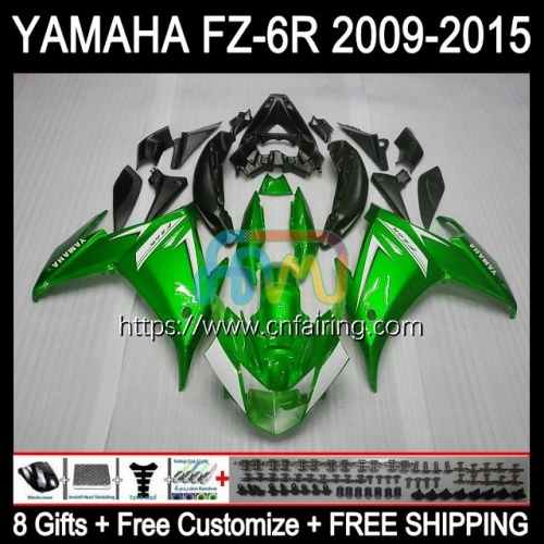 Body For YAMAHA FZ-6R FZ 6R 6 R 6N 2009 2010 2011 2012 2013 2014 2015 Bodywork FZ6R FZ6N Light Green FZ6 R 09 10 11 12 13 14 15 Fairing Kit 107HM.72