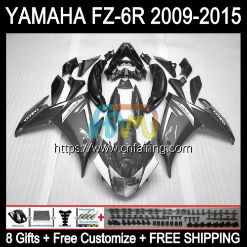 Body For YAMAHA FZ-6R FZ 6R 6 R 6N 2009 2010 2011 2012 2013 2014 2015 Bodywork FZ6R FZ6N FZ6 R 09 10 11 12 13 14 15 Fairing Kit Silvery Grey 107HM.79