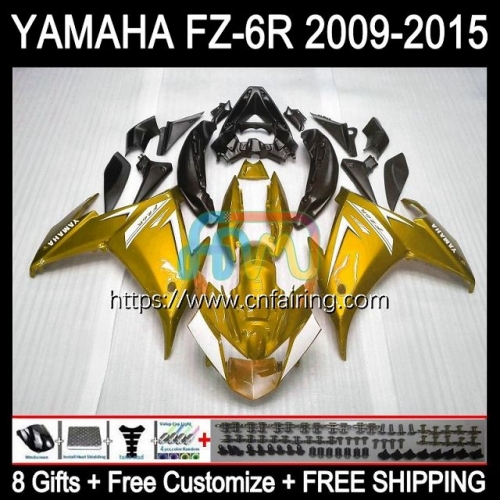 Body For YAMAHA FZ-6R FZ 6R 6 R 6N 2009 2010 2011 2012 2013 2014 2015 Bodywork Gloss Golden FZ6R FZ6N FZ6 R 09 10 11 12 13 14 15 Fairing Kit 107HM.78