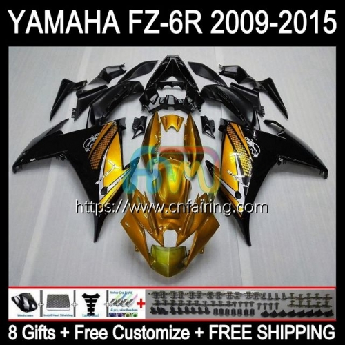 Body For YAMAHA FZ-6R FZ 6R 6 R 6N 2009 2010 2011 2012 2013 2014 2015 Bodywork FZ6R FZ6N FZ6 R 09 10 11 12 13 14 15 Fairing Golden Black Kit 107HM.70