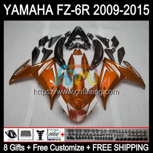 Body For YAMAHA FZ-6R FZ 6R 6 R 6N 2009 2010 2011 2012 2013 2014 2015 Bodywork FZ6R FZ6N FZ6 R 09 10 11 12 13 14 15 Fairing Dark Orange Kit 107HM.77