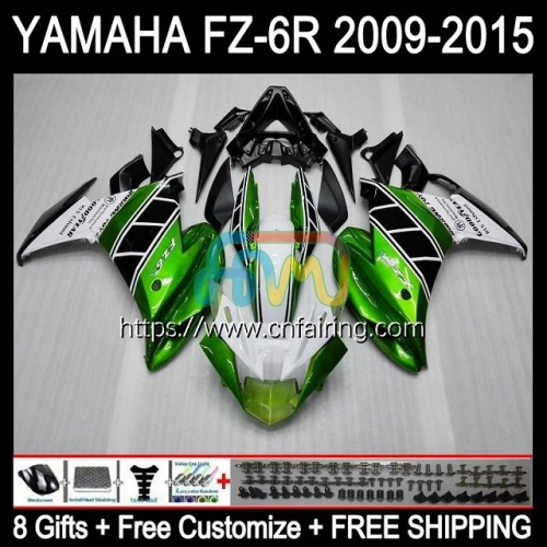 Light Green Body Kit For YAMAHA FZ6N FZ6 R FZ 6R 6 R 6N Bodywork FZ6R 09 10 11 12 13 14 15 FZ-6R 2009 2010 2011 2012 2013 2014 2015 Fairing 107HM.47