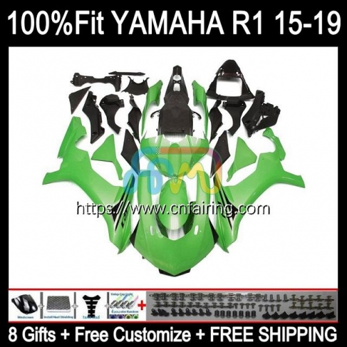 OEM Injection For YAMAHA YZF R 1 1000 C R1 1000CC 2015 2016 2017 2018 2019 Light Green YZF1000 YZF-R1 YZF-1000 YZFR1 15 16 17 18 19 Fairing 112HM.70