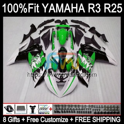 Injection OEM Body For YAMAHA YZF-R25 YZF R3 R25 R 3 25 2014 2015 2016 2017 2018 YZF-R3 YZFR25 YZFR3 14 15 16 17 18 Fairing Shark Green Kit 113HM.93