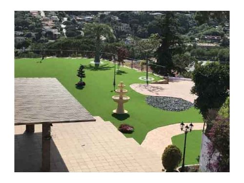 artificial grass front yard