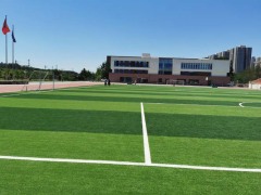 non-Infill artificial grass for playgrounds