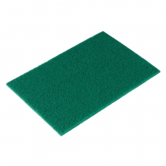 AS03 Scouring Pad