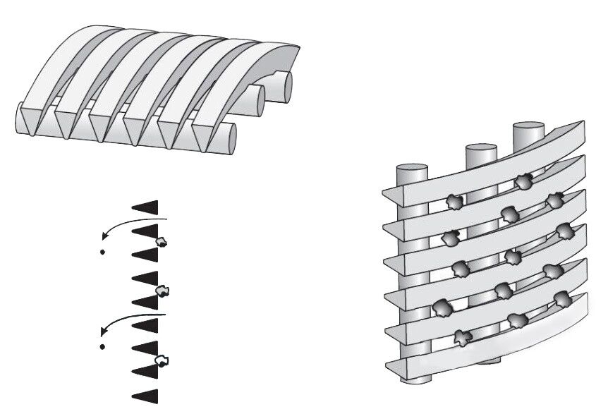 Wedge Wire Sieve Bend Screen